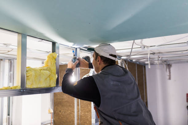 Best Blown-in Insulation  in Lansdale, PA